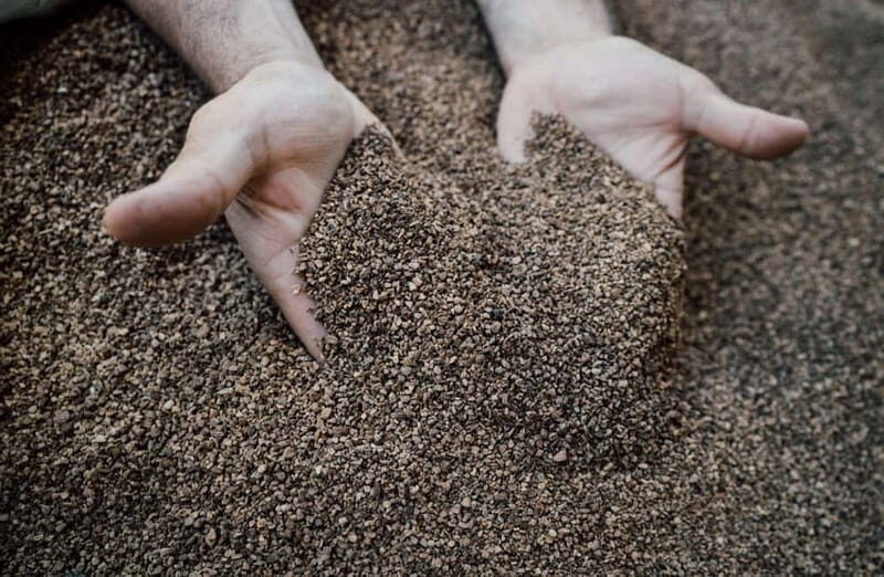 Cured Meat & Olive Oil Tasting & Visit near Pisa & Livorno - An Introduction to the Tour