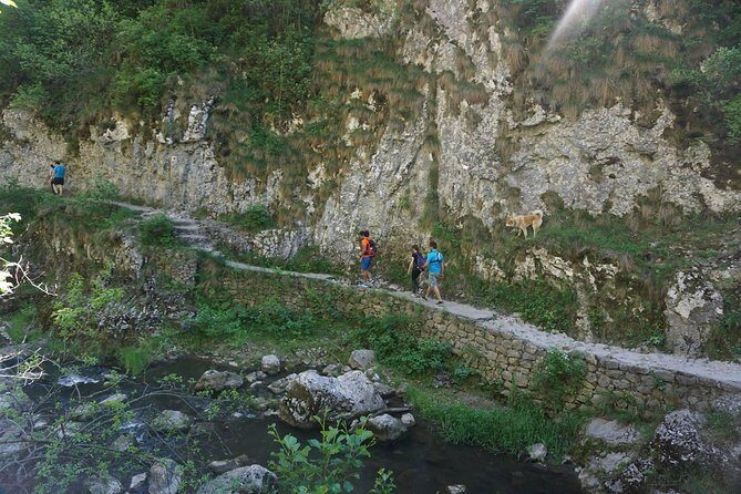 Curly Tour - Day trip from Cluj :) - Who Will Love This Tour?