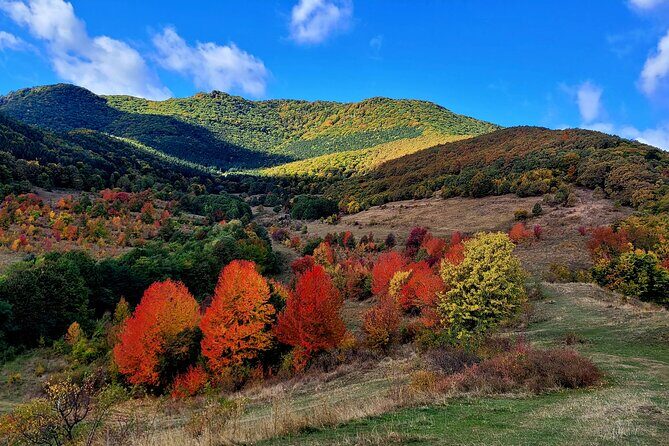Curly Tour - Day trip from Cluj :) - FAQs