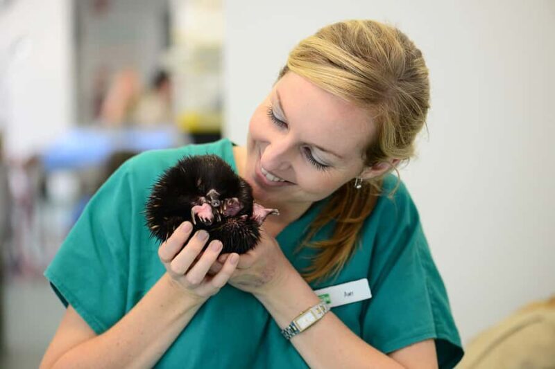 Currumbin Wildlife Sanctuary Entry Ticket - Who Should Visit Currumbin?