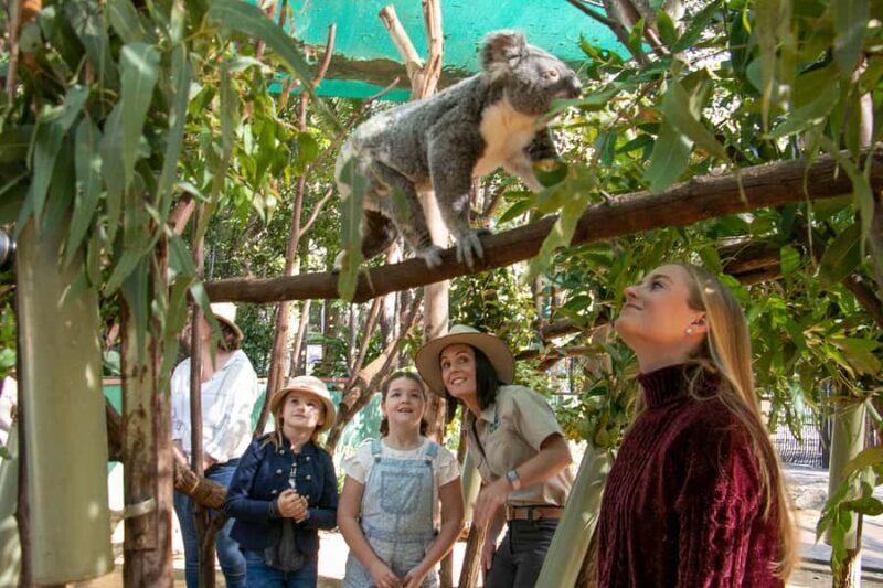 Currumbin Wildlife Sanctuary Entry Ticket - FAQs