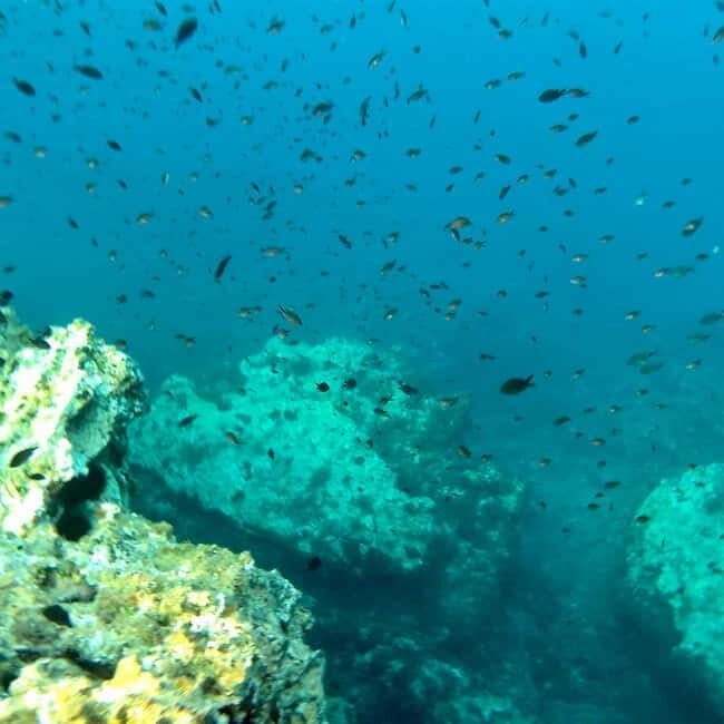 Curso de PaddleSurf, Visita Cuevas y Calas secretas, Snorkel - Practical Details