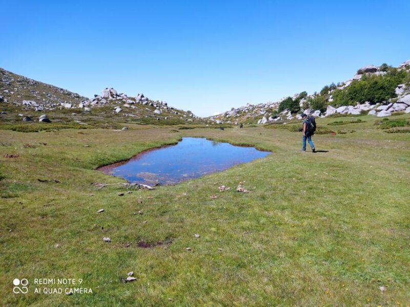 Cuscionu's plateau, 1000 waterholes'grass : pozzines - FAQs