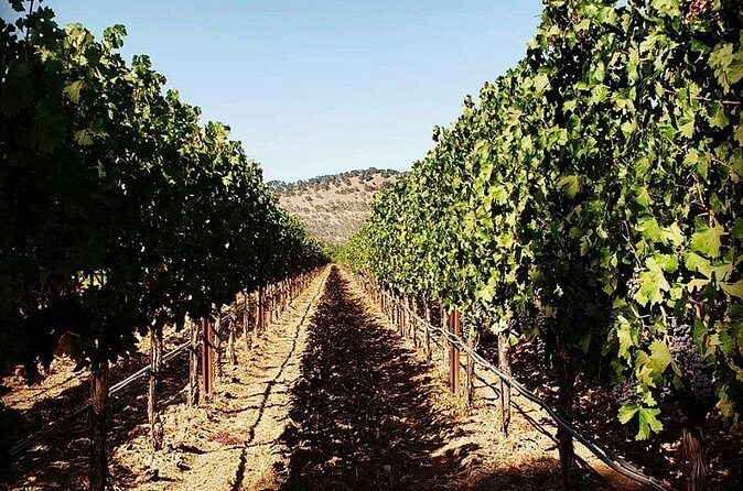 Custom 6-Hour Napa Valley Wine Tour in a Luxury Vehicle - Final Thoughts