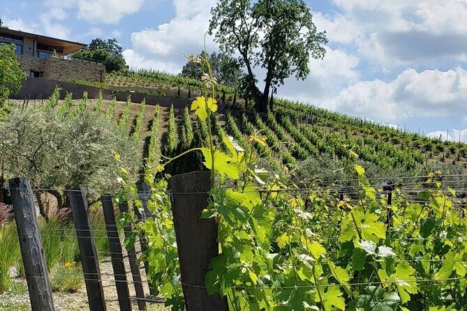 Custom 8-Hour Napa Valley Wine Tour in a Luxury Vehicle - FAQ