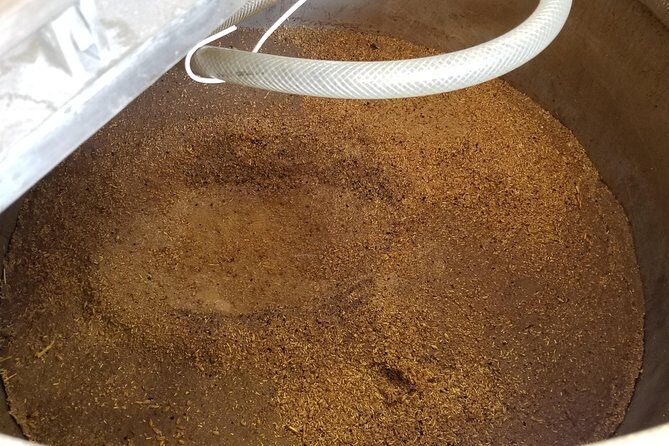 Custom Arizona Brewery / Vineyard Tour - What to Expect from the Tour