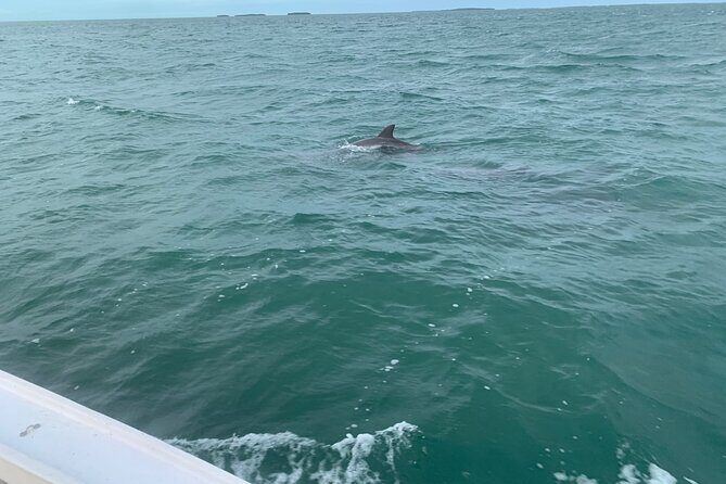 Custom Charters with a Local Captain - The Practical Side: What You Need to Know