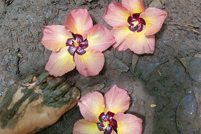 Custom Island Adventure Tours - What You Should Keep in Mind