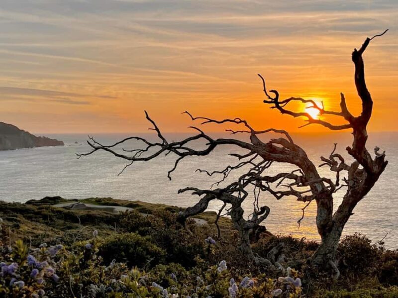 CUSTOM PHOTO ADVENTURES TO THE BAY AREA'S MOST EPIC SCENERY - How the Experience Comes Together