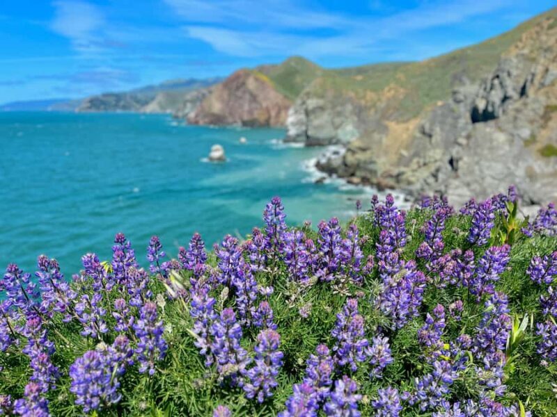 CUSTOM PHOTO ADVENTURES TO THE BAY AREA'S MOST EPIC SCENERY - Scenic Highlights You Might Encounter