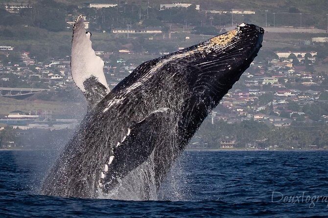 Custom Private Adventure - How Does the Pricing Stack Up?