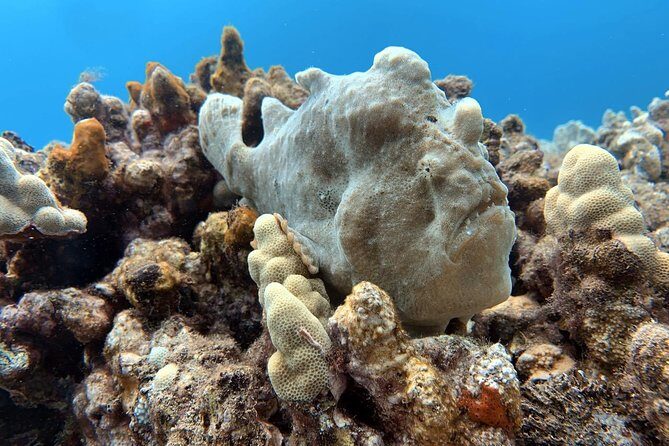 Custom Private Adventure - Who Will Love This Tour?