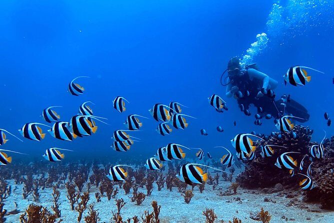 Custom Private Adventure - Wrapping It Up: Who Is This Tour Best For?