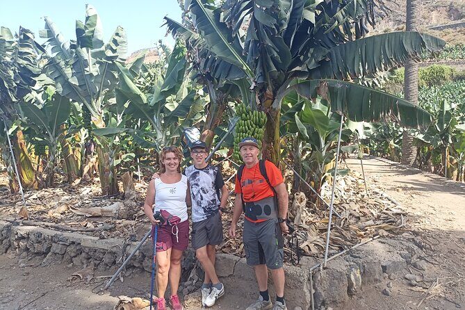 Custom Private Tenerife Full Island Car Tour - Who Should Book This Tour?