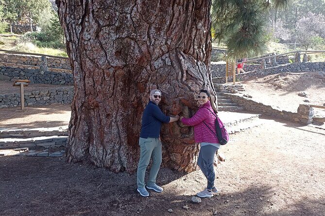 Custom Private Tenerife Volcano Car Tour - Authentic Feedback from Travelers