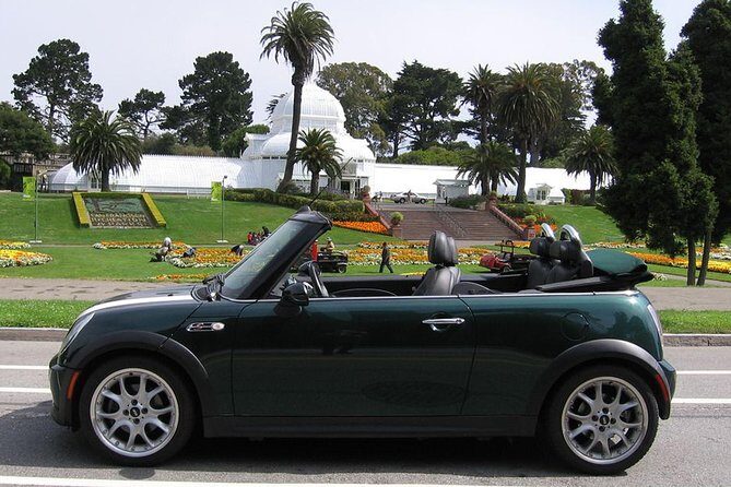 Custom Private Tour in Convertible MINI Cooper - Who Should Book This Tour?