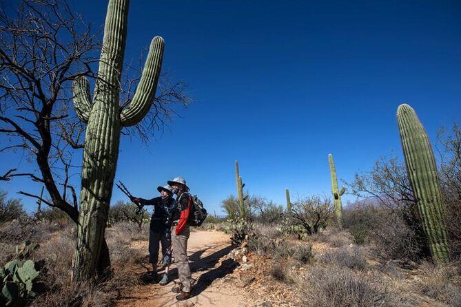 Custom Tucson Day Tour from Phoenix - Final Thoughts