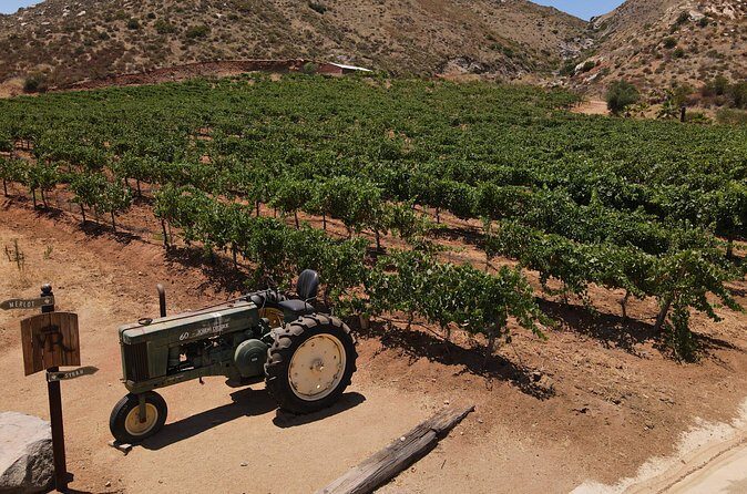 Customizable Guadalupe Wine Valley Tour - Exploring Valle de Guadalupe