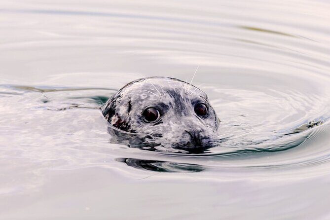 Customizable Private Tour in Ketchikan with Pick Up - An In-Depth Look at the Itinerary