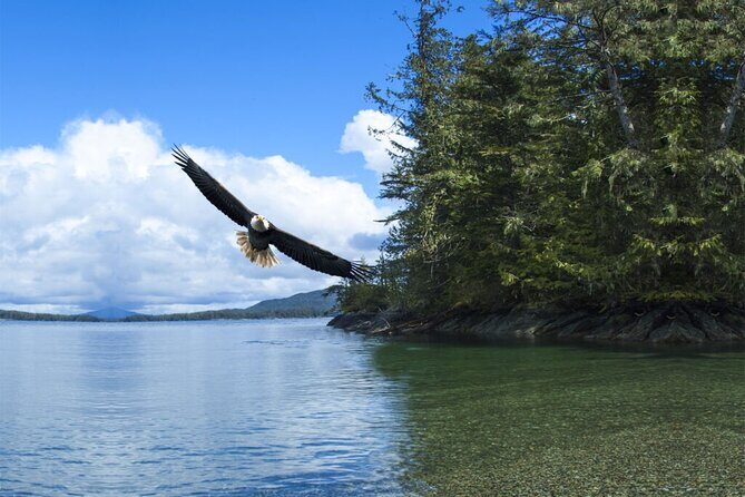 Customizable Private Tour in Ketchikan with Pick Up - Who Should Consider This Tour?