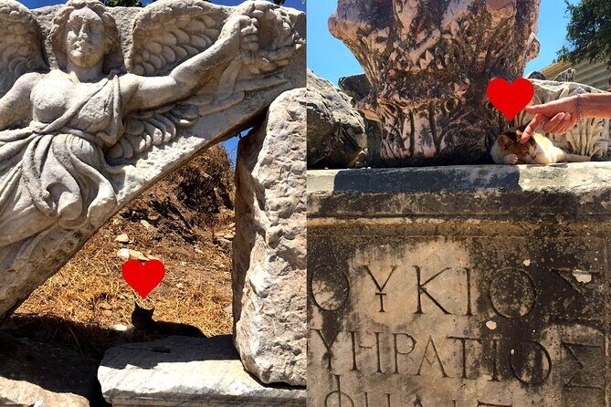 Customized Private Ephesus Tour & Farm Lunch - What the Tour Entails: An In-Depth Look