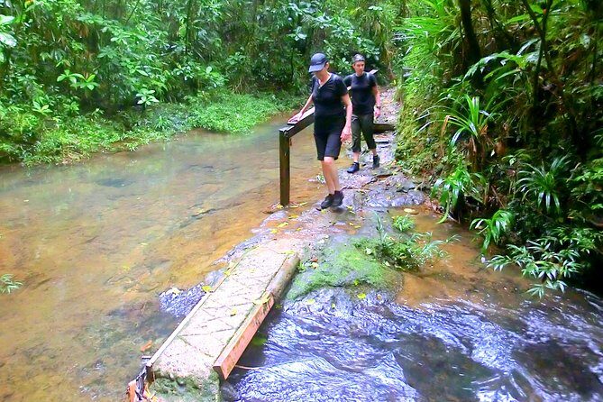 Customized Suva day tour - The Downsides and Considerations