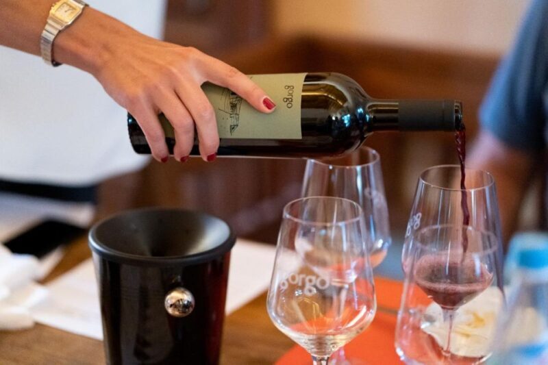 Custoza: Organic Wine Tasting with Vineyard and Cellar Tour - An In-Depth Look at the Custoza Organic Wine Tour