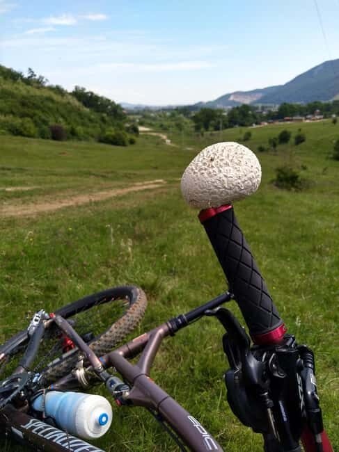 Cycling in Transylvania (Magura, Pestera & Moieciu) - The Cycling Experience: What Matters Most