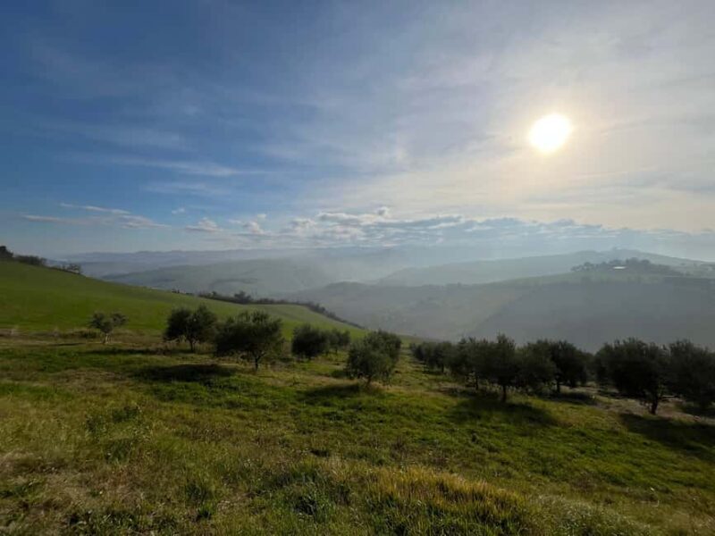 Cycling through history and flavors, discovering the fortress of Dozza in Emilia Romagna - Exploring the Emilia Romagna Landscape on Two Wheels