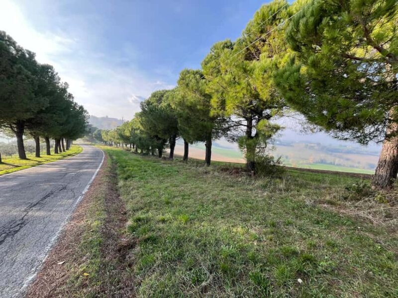 Cycling through history and flavors, discovering the fortress of Dozza in Emilia Romagna - The Scenic Ride Back and Final Socials