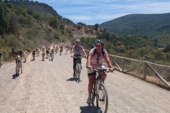 Cycling - Via Verde de la Sierra - 36km - Easy Level - What Reviewers Say About the Experience