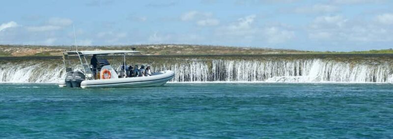 Cygnet Bay Unique Tidal Waterfall Reefs Scenic Cruise - Key Points