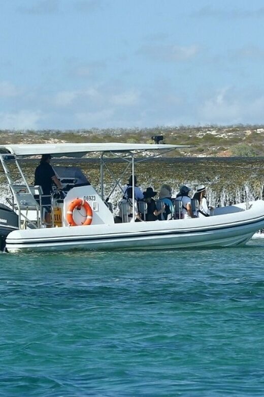 Cygnet Bay Unique Tidal Waterfall Reefs Scenic Cruise - Who Is This Tour For?