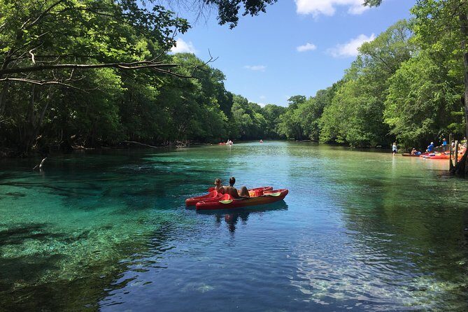 Cypress Springs Eco Adventure - The Details That Make or Break the Experience