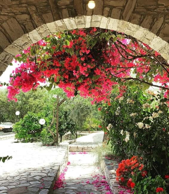 Cypriot Traditions and Donkey Adventures - The Value of This Experience