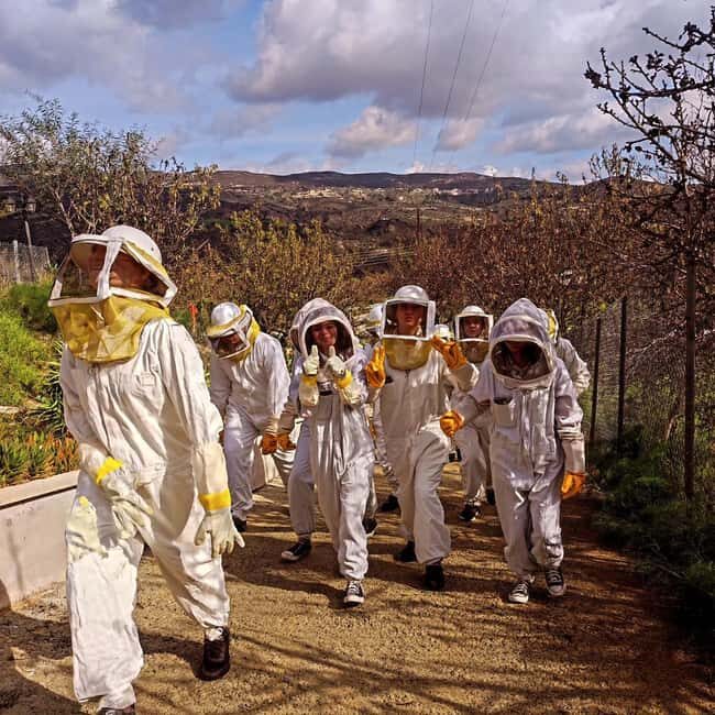 Cyprus: Honey Tour, Tasting, and Beekeeper Experience - Key Points
