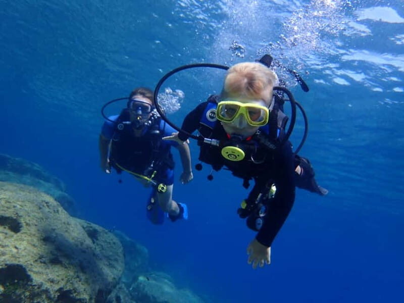Cyprus: Introductory Scuba Lesson and Dive with Transfer - The Marine Environment: What Youll See and Do