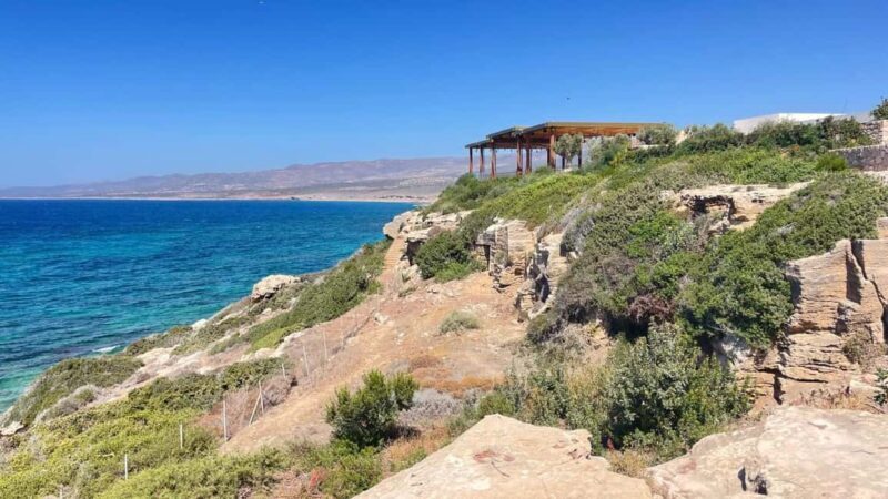 Cyprus Wine & Gastronomy Tour: wine & food tasting - What the reviews tell us