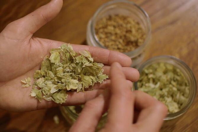 Czech Beer Tasting Experience - Who Will Love This Tour?