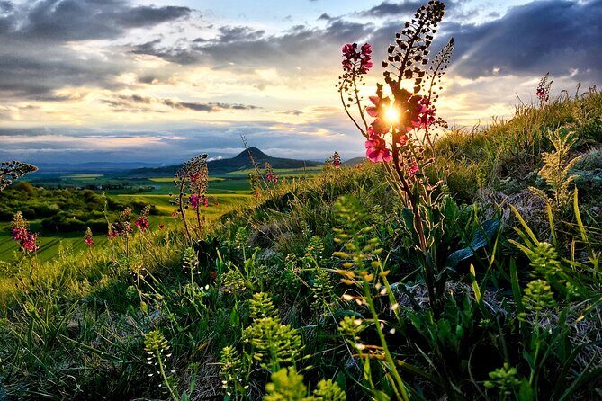 Czech Countryside Villages Tour from Prague with Animal Farm - Final Thoughts