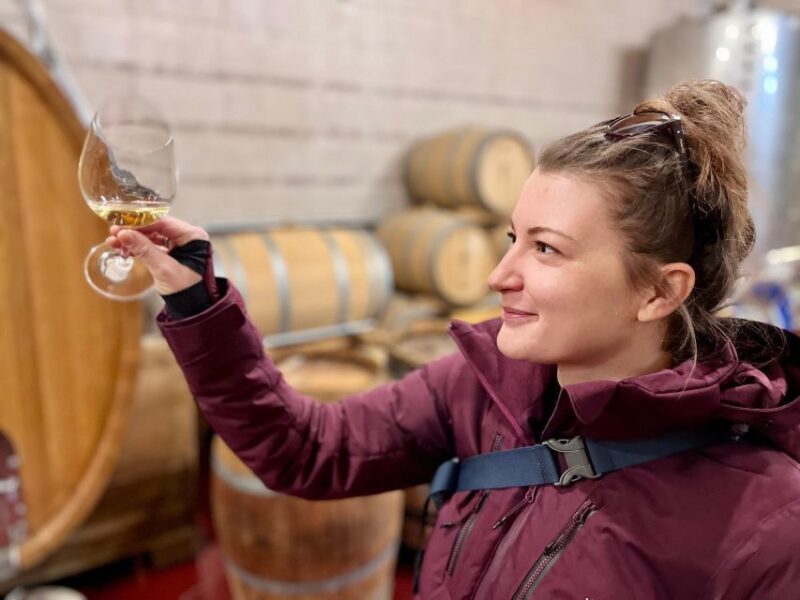 Czech Vineyards and Wine Tasting 4WD Tour with Lunch - The Value and Who Should Consider This Tour