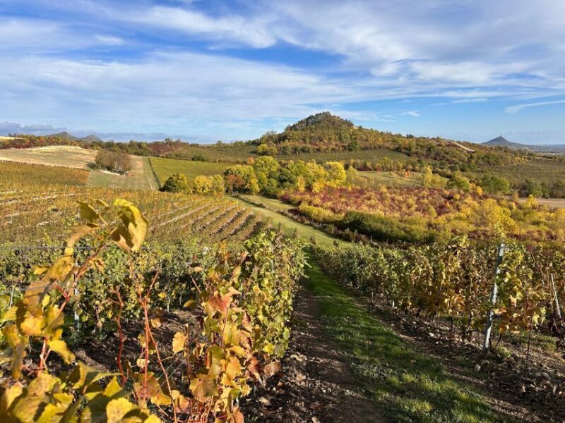 Czech Vineyards and Wine Tasting 4WD Tour with Lunch - FAQ
