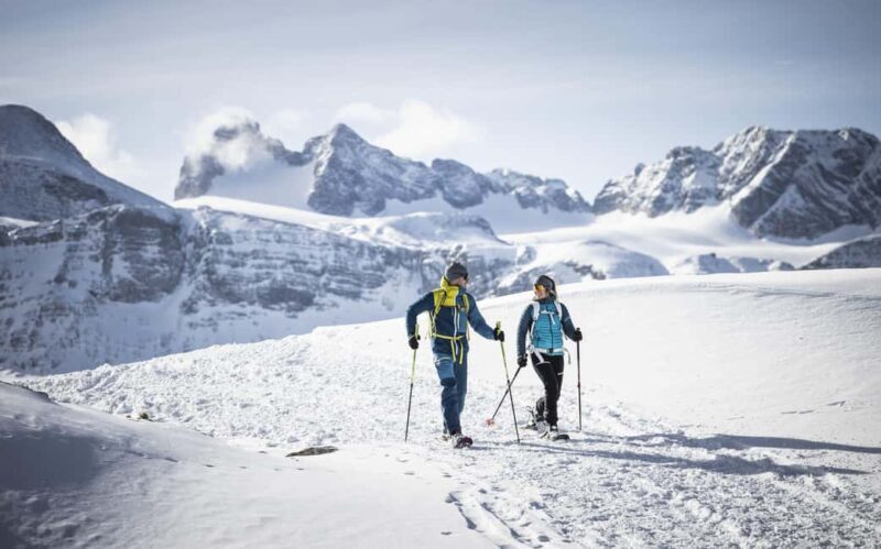 Dachstein Krippenstein  Panorama Ticket: Mountain experience at 2,100 meters - Key Points