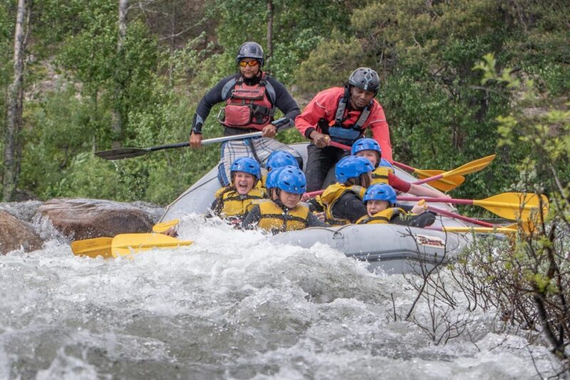Dagali/Geilo: Family-Friendly Whitewater Rafting - level 1 - What Makes This Tour Special?