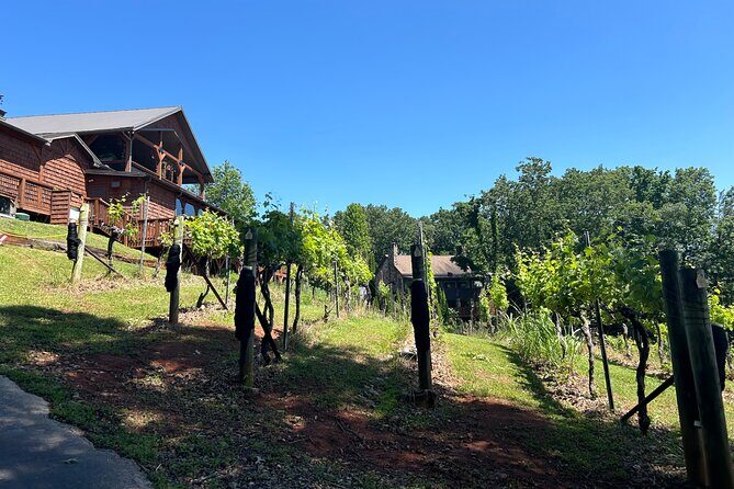 Dahlonega Wine & Dine Private Tour from Atlanta - Who Will Love This Tour?