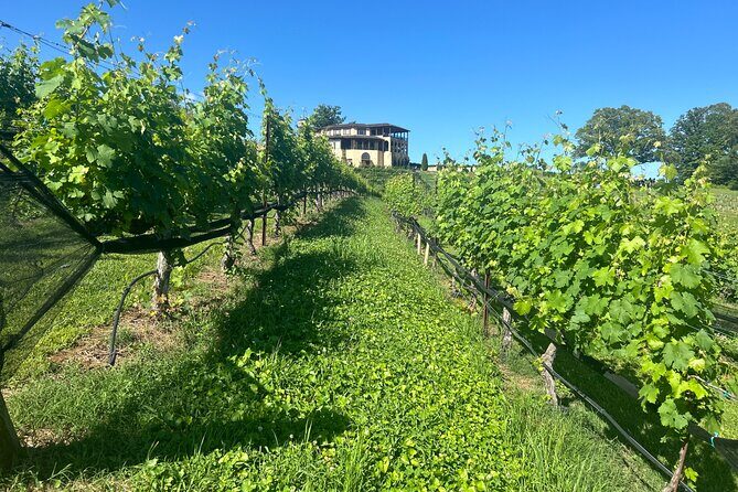 Dahlonega Wine & Dine Private Tour from Atlanta - Practical Considerations & Tips