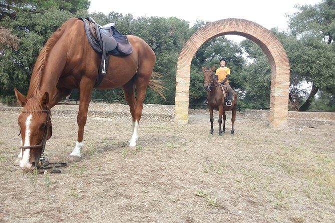 Daily Animals Lovers : Horseback ride with meals & wine included - Practicalities: Price, Duration, and Logistics