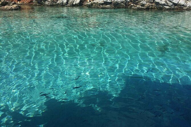 Daily Boat Trip in Bodrum with Lunch - FAQs