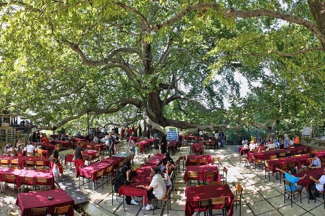 Daily Bursa Uludag Mountain & Cable Car Tour with Lunch from Istanbul - Authentic Traveler Insights