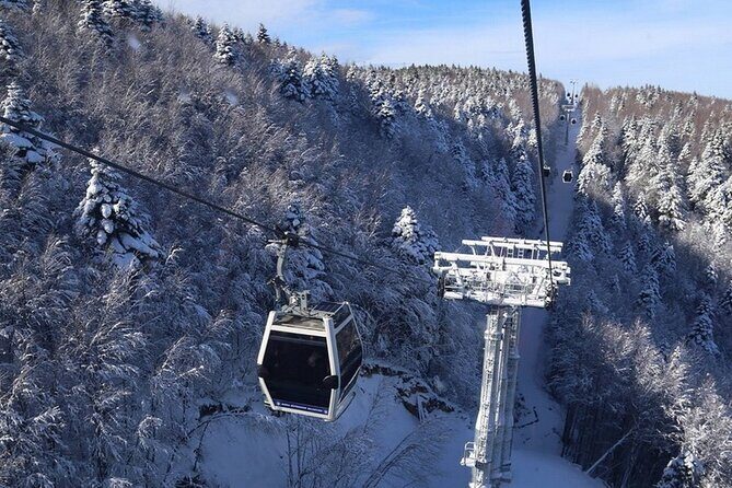 Daily Bursa Uludag Mountain & Cable Car Tour with Lunch from Istanbul - The Sum Up